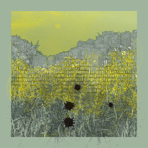Carbon Capture Zancan