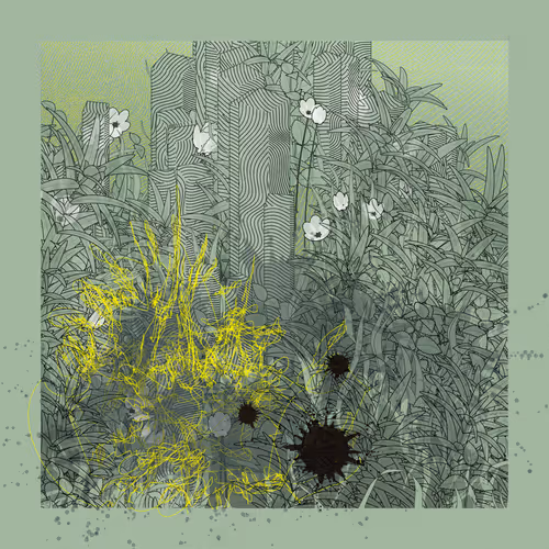 Item #2122296742 Media