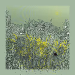 Landscape with Carbon Capture #10958