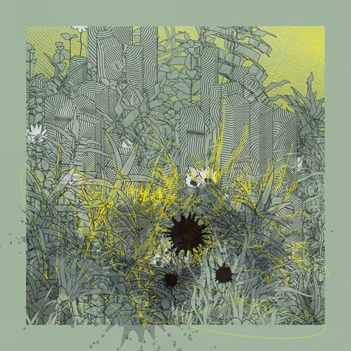 Item #476496176 Media