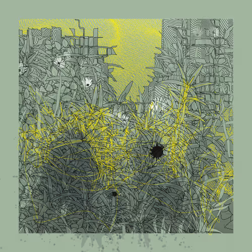 Item #1158249629 Media