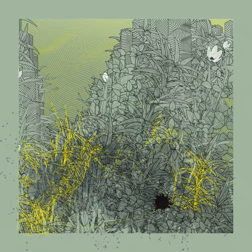 Item #610468116 Media