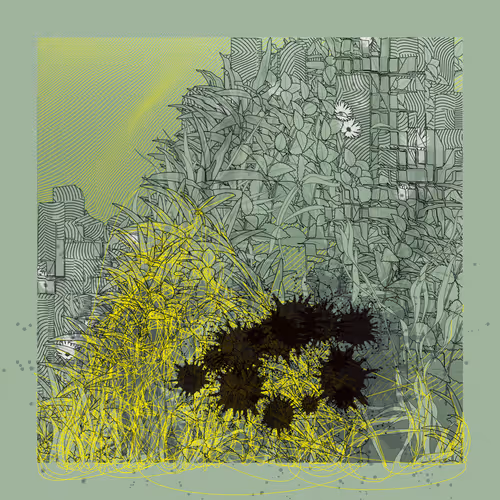 Carbon Capture Zancan