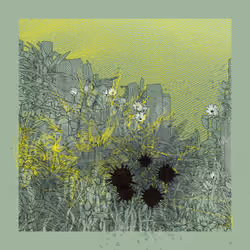 Landscape with Carbon Capture #2143
