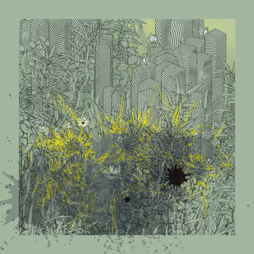 Item #3625705846 Media