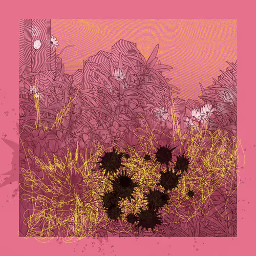 Item #1437747385 Media