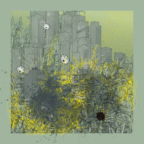 Item #2864322492 Media