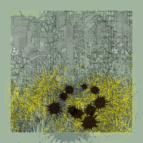 Carbon Capture Zancan