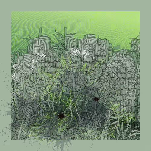 Carbon Capture Zancan