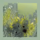 169162986