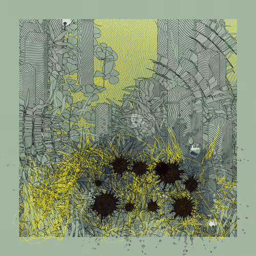 Item #2903684719 Media