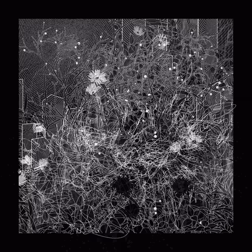 Item #2001982912 Media