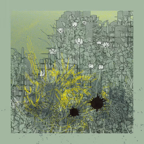 Item #2446925308 Media