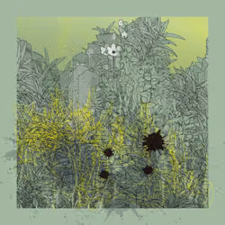 Landscape with Carbon Capture #10527
