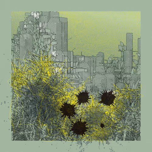 Carbon Capture Zancan