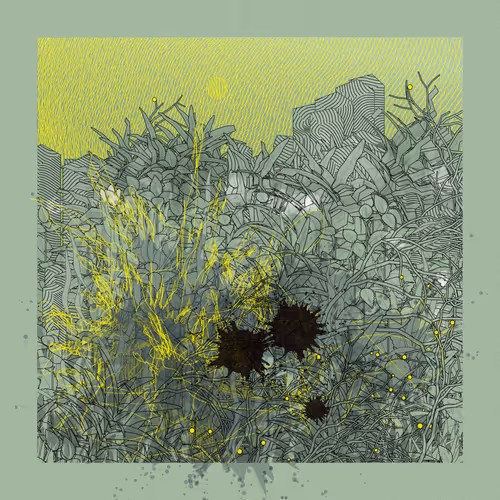 Item #624166610 Media