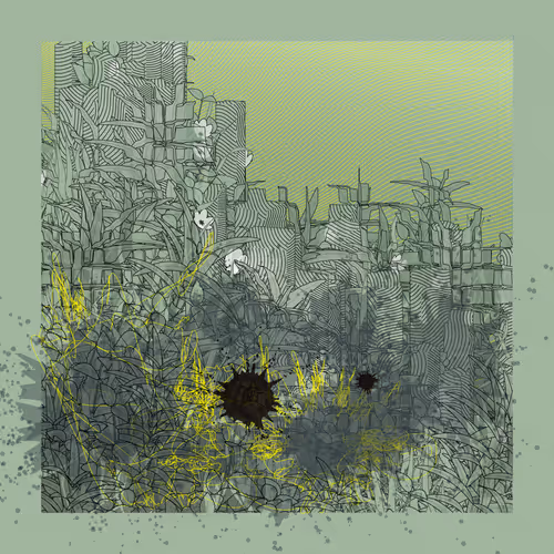 Carbon Capture Zancan