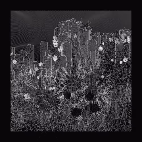 Item #90506101 Media