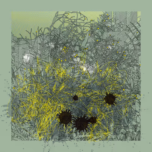 Item #2364353225 Media