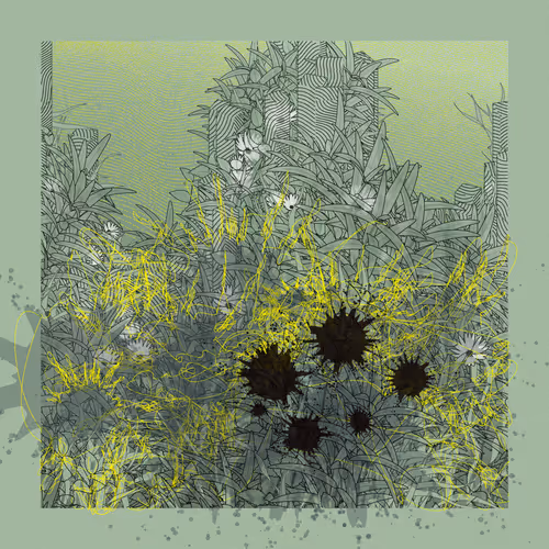 Item #2986070958 Media