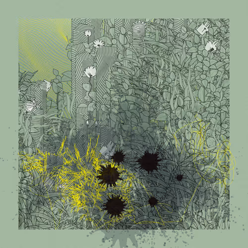 Carbon Capture Zancan