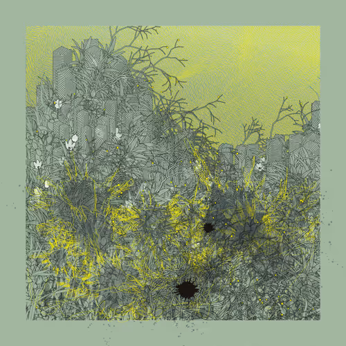 Item #3666140986 Media