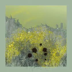 Landscape with Carbon Capture #914