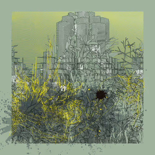 Carbon Capture Zancan