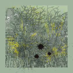 Landscape with Carbon Capture #11375