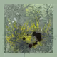 4060790631