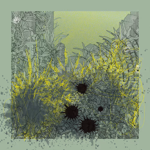 Item #3300998635 Media