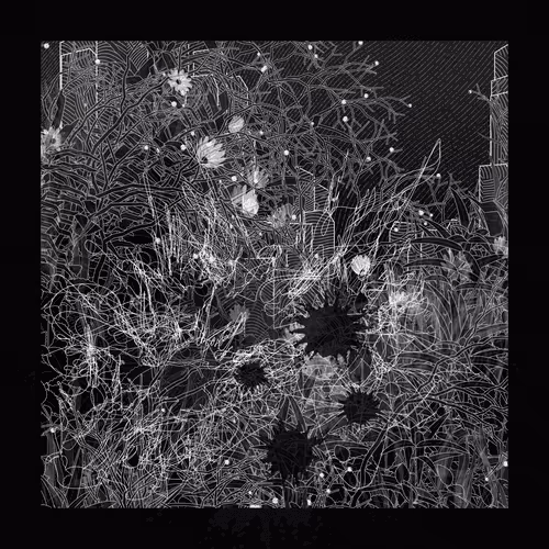 Item #798782244 Media