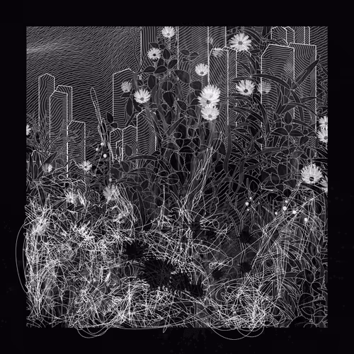 Item #1679328444 Media