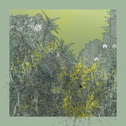 Landscape with Carbon Capture #11087