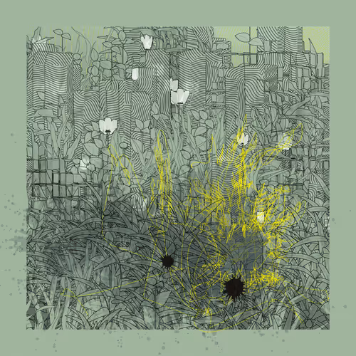 Item #890768987 Media