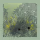 135200502