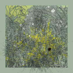 Landscape with Carbon Capture #11401