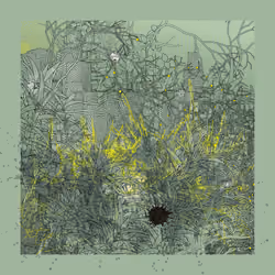 Landscape with Carbon Capture #568