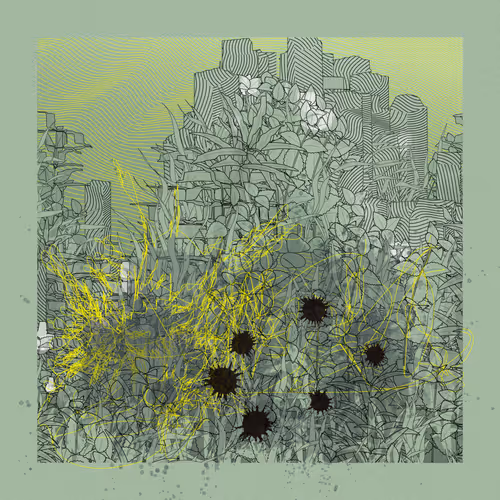 Carbon Capture Zancan