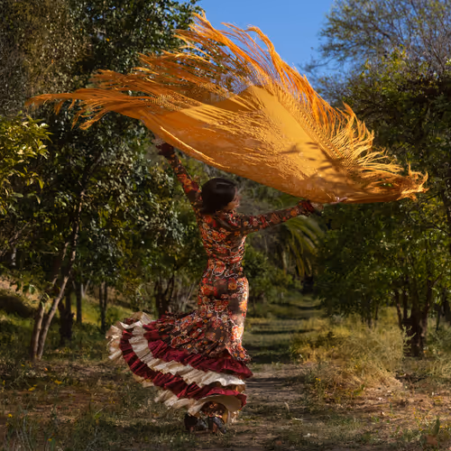 Flamenca, Flamenca by Bernie Straw