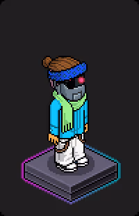 Habbo Crafted Avatar #2462