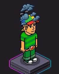 Habbo Crafted Avatar #2482