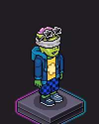 Habbo Crafted Avatar #1072