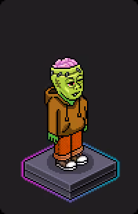 Habbo Crafted Avatar #2554