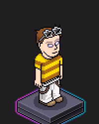 Habbo Crafted Avatar #2406