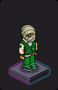 Habbo Crafted Avatar #2479