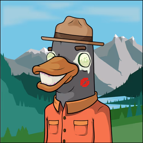 Chill Ducks Nft