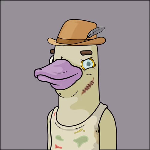 Chill Ducks Nft