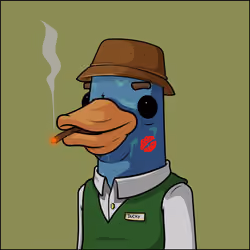 Chill Ducks #4577
