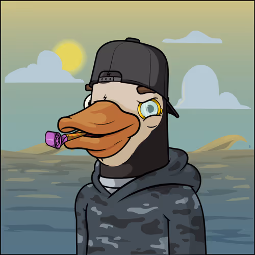 Chill Ducks Nft